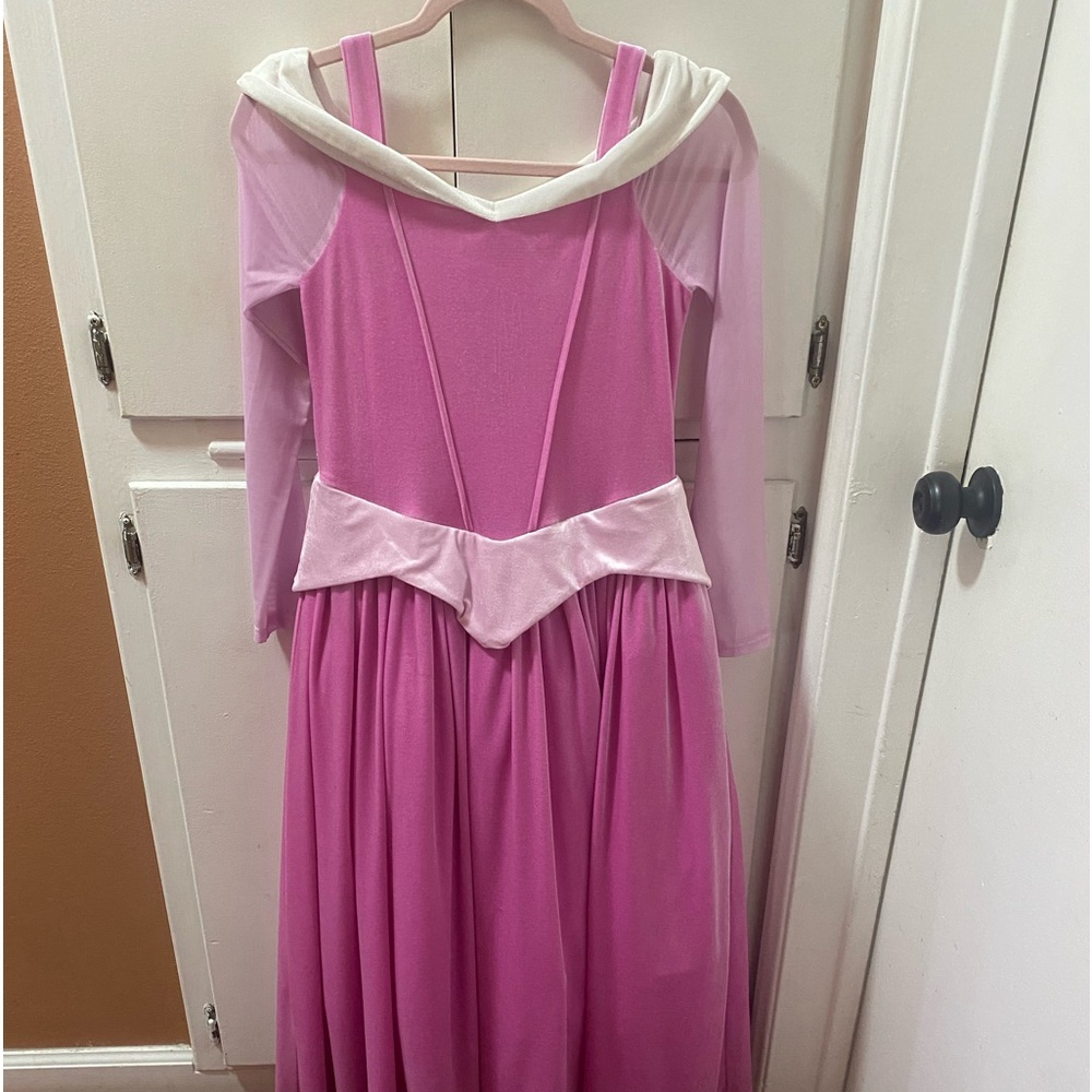Sleeping Beauty Dress